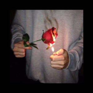 娇软继女非要当狗笔趣阁在线阅读
